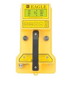 RKI Eagle 72-540 1 - 6 Gas Sample Draw Monitor